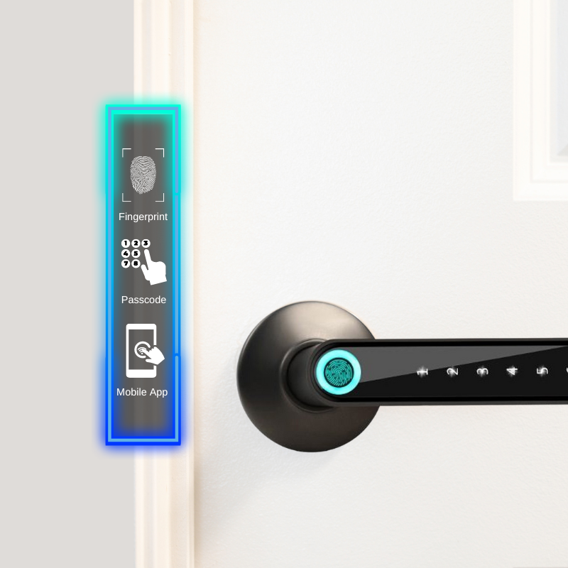Switchome™️ Smart Door Handle