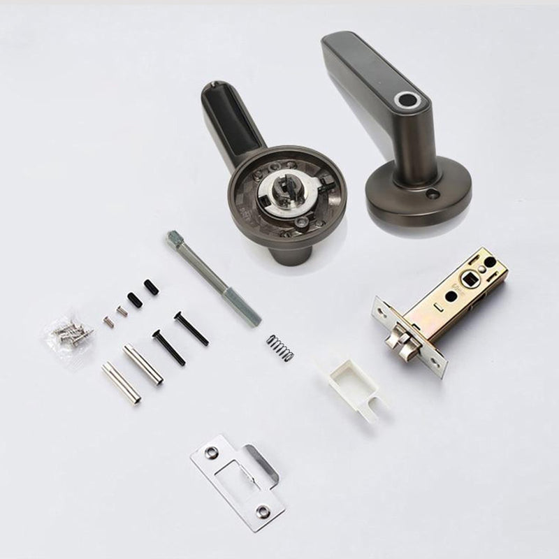 Switchome™️ Smart Door Handle