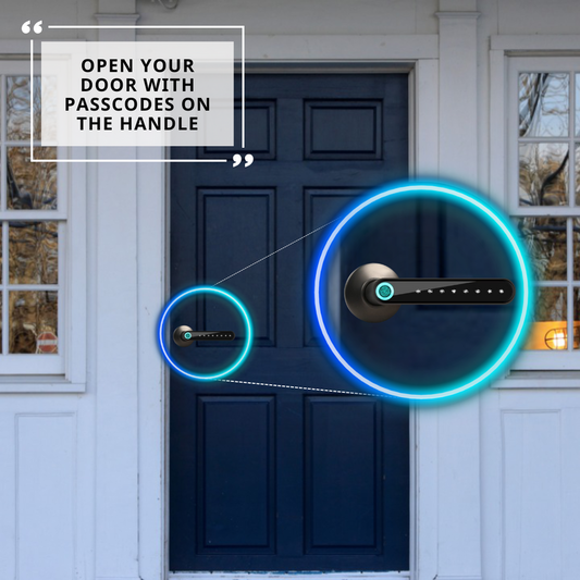 Switchome™️ Smart Door Handle